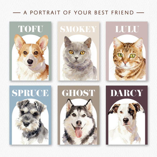 Six custom pet portraits with names on a different coloured background