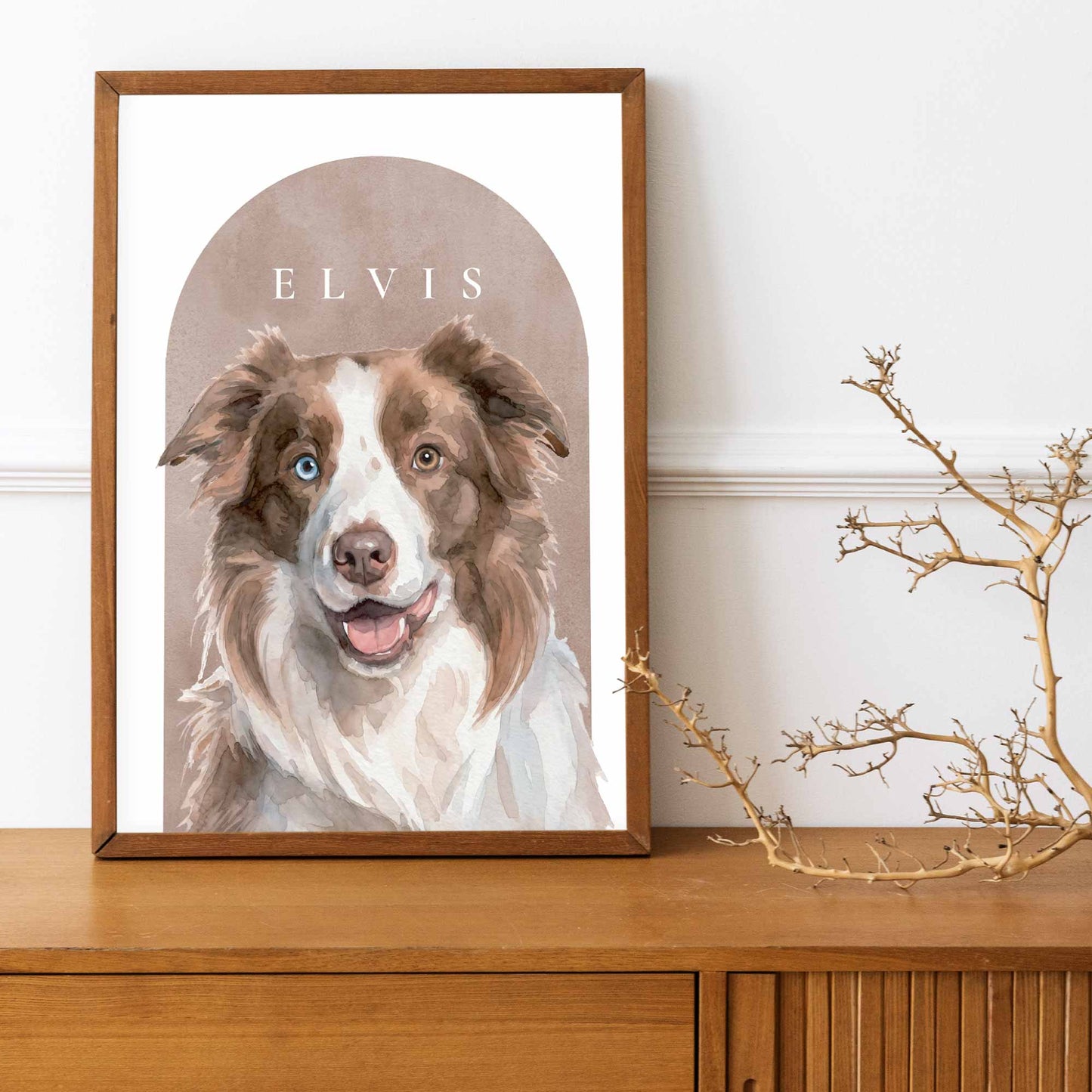 Custom pet portrait of a border collie  in lifestyle shot