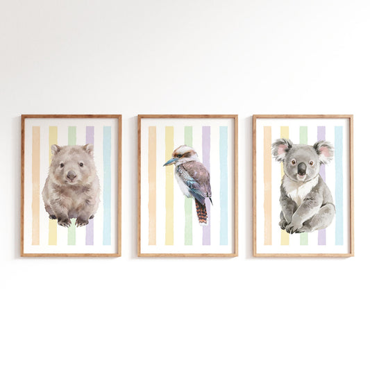Three framed prints of a wombat, kookaburra, and koala on a rainbow striped background.