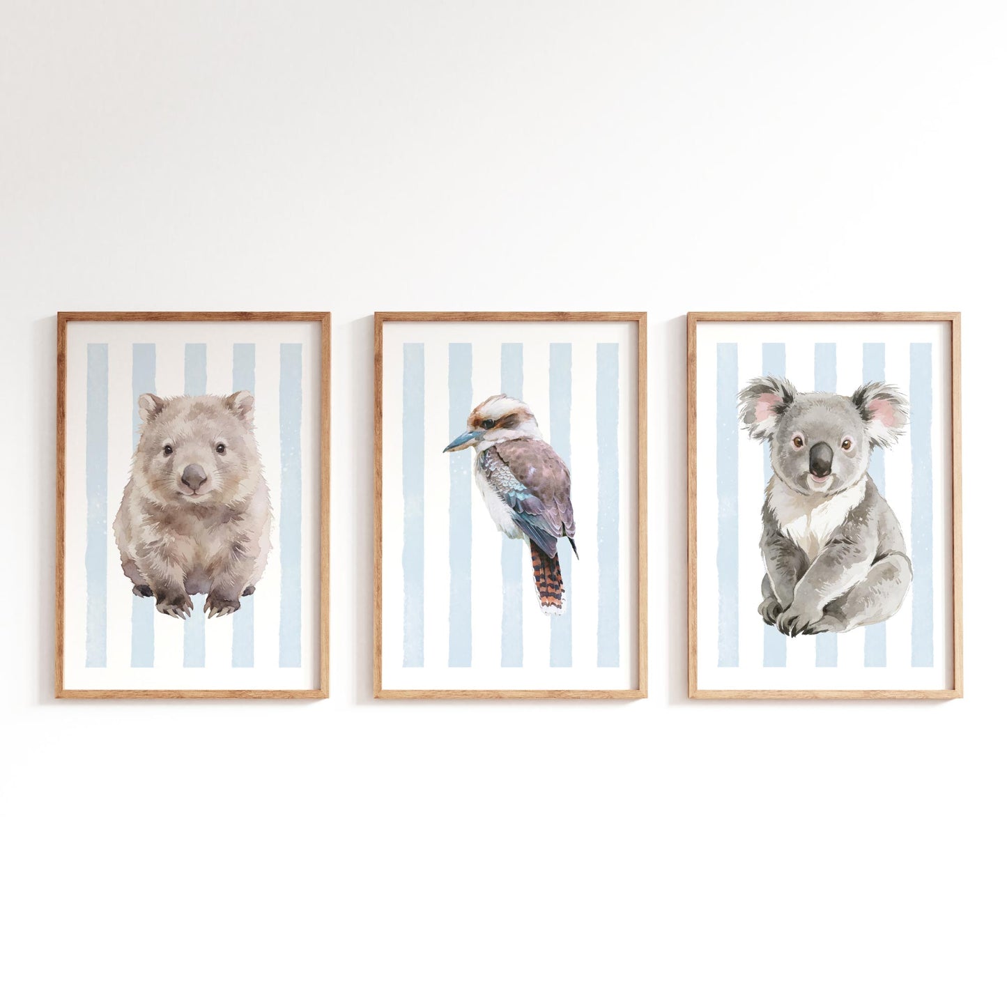 Three framed prints of a wombat, kookaburra, and koala on a striped blue background.