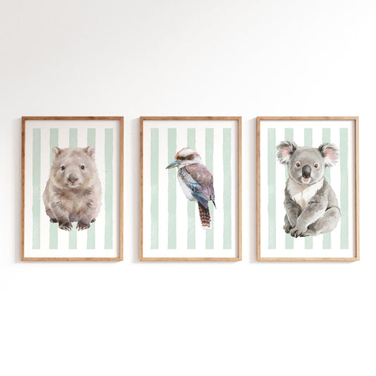 Three framed prints of a wombat, kookaburra, and koala on a striped green background.