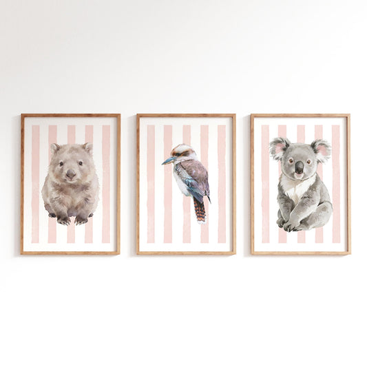 Three framed prints of a wombat, kookaburra, and koala on a striped pink background.