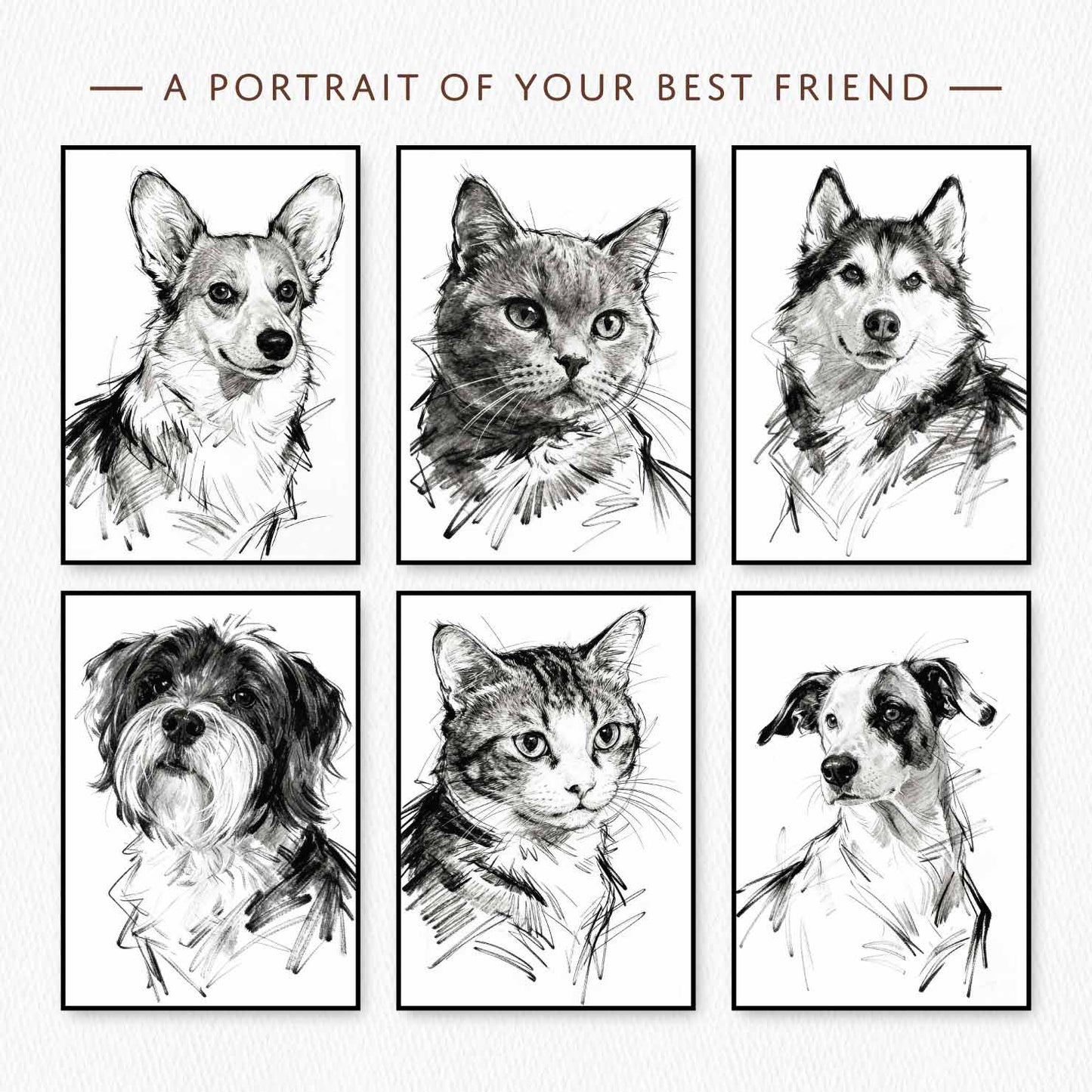 Grid layout showing multiple sketch style pet portraits dogs and cats