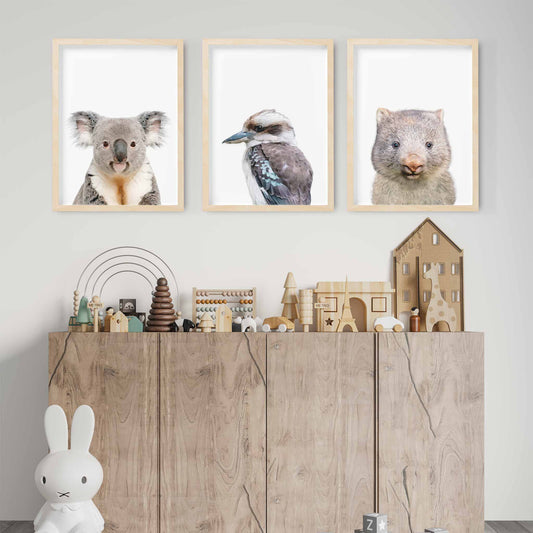 A set of 3 wall oak framed images of Australia animals wombat, kookaburra and koala displayed on the wall of a kids playroom